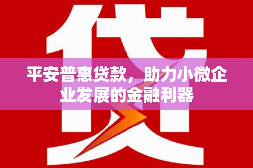 璧山平安普惠贷款，助力小微企业发展的金融利器