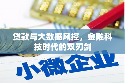 璧山贷款与大数据风控，金融科技时代的双刃剑