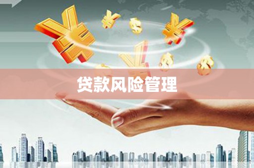 璧山贷款风险管理
