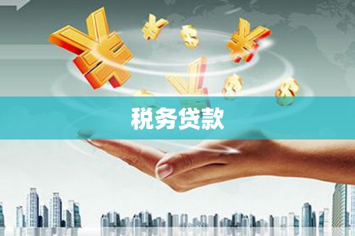 璧山税务贷款