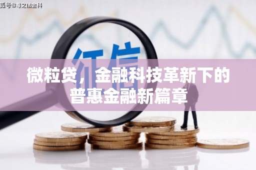 璧山微粒贷，金融科技革新下的普惠金融新篇章