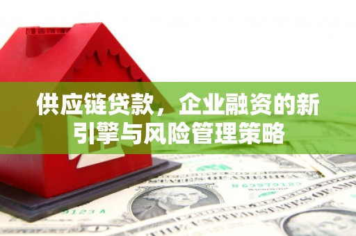 璧山供应链贷款，企业融资的新引擎与风险管理策略