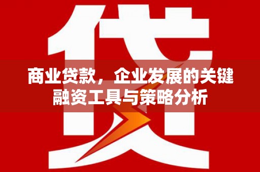 璧山商业贷款，企业发展的关键融资工具与策略分析