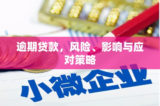 璧山逾期贷款，风险、影响与应对策略