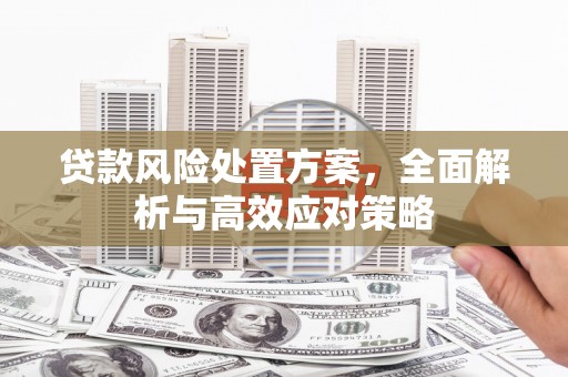 璧山贷款风险处置方案，全面解析与高效应对策略
