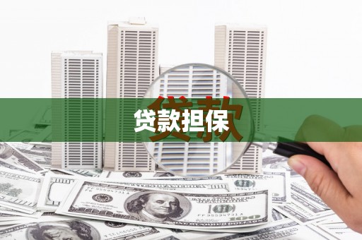 璧山贷款担保