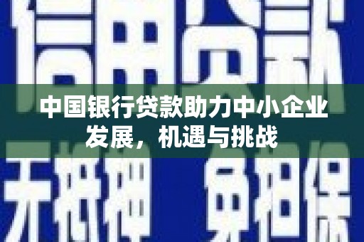 璧山中国银行贷款助力中小企业发展，机遇与挑战