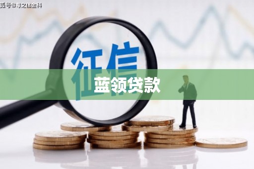 璧山蓝领贷款