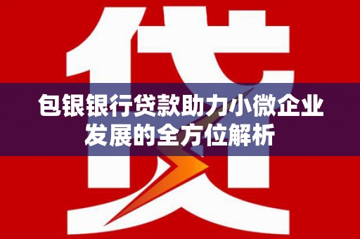 璧山包银银行贷款助力小微企业发展的全方位解析