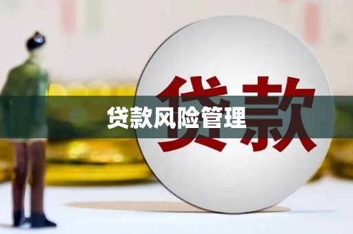 璧山贷款风险管理