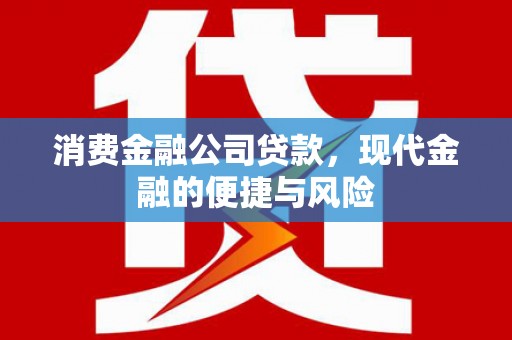 璧山消费金融公司贷款，现代金融的便捷与风险