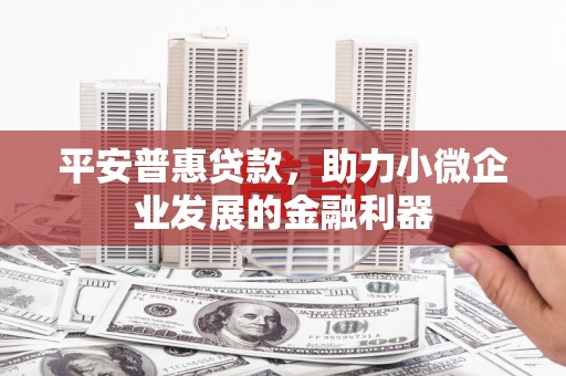 璧山平安普惠贷款，助力小微企业发展的金融利器