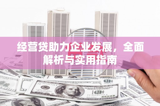 璧山经营贷助力企业发展，全面解析与实用指南