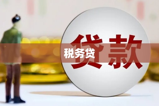 璧山税务贷