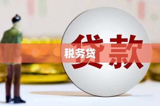 璧山税务贷