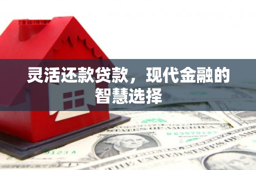 璧山灵活还款贷款，现代金融的智慧选择