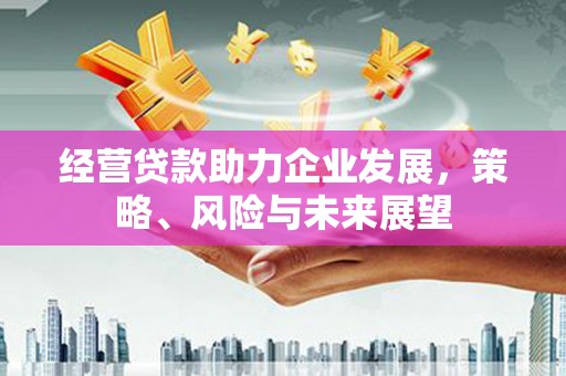 璧山经营贷款助力企业发展，策略、风险与未来展望