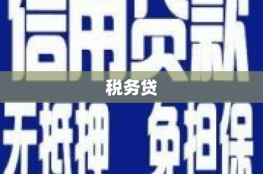 璧山税务贷