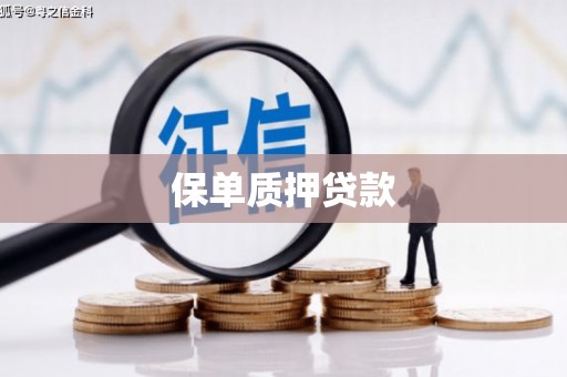 璧山保单质押贷款