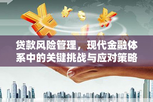 璧山贷款风险管理，现代金融体系中的关键挑战与应对策略
