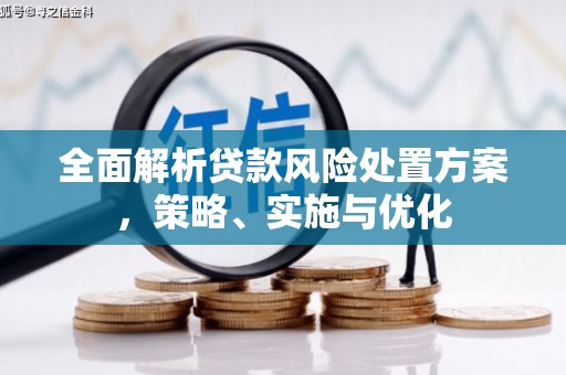 璧山全面解析贷款风险处置方案，策略、实施与优化
