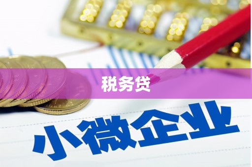 璧山税务贷