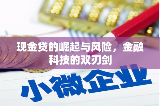 璧山现金贷的崛起与风险，金融科技的双刃剑