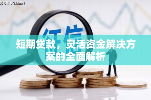 璧山短期贷款，灵活资金解决方案的全面解析