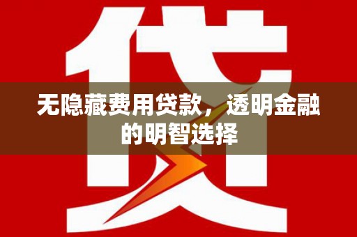 璧山无隐藏费用贷款，透明金融的明智选择