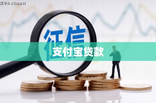 璧山支付宝贷款