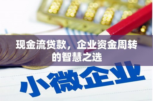 璧山现金流贷款，企业资金周转的智慧之选