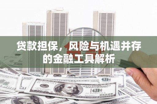 璧山贷款担保，风险与机遇并存的金融工具解析