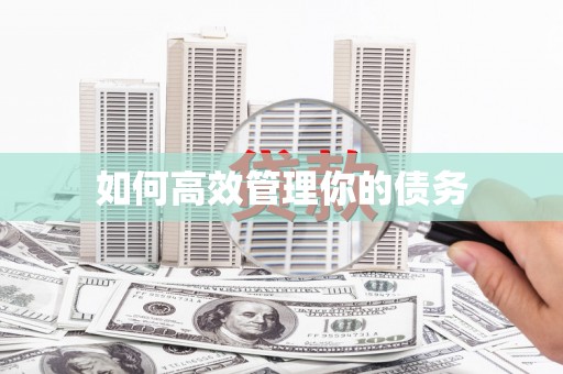 璧山如何高效管理你的债务