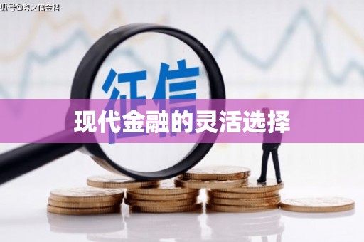 璧山现代金融的灵活选择