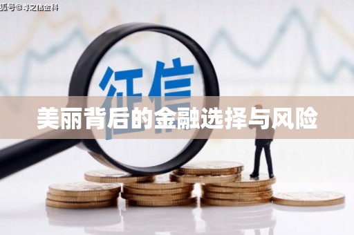 璧山美丽背后的金融选择与风险