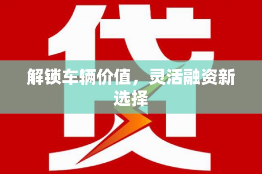 璧山解锁车辆价值，灵活融资新选择