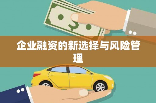 璧山企业融资的新选择与风险管理