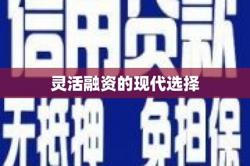 璧山灵活融资的现代选择