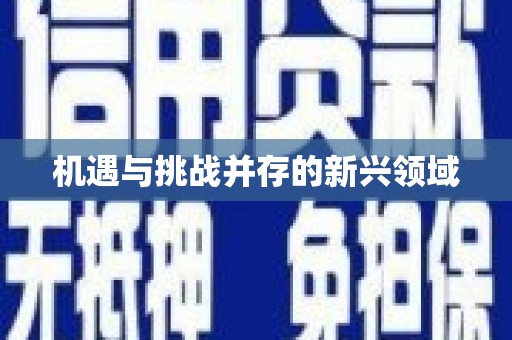 璧山机遇与挑战并存的新兴领域