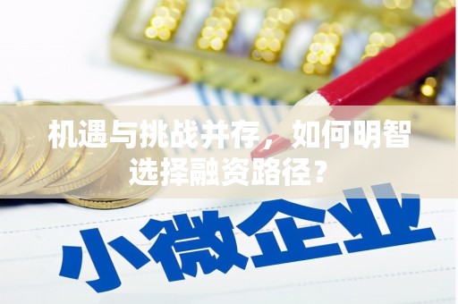 璧山机遇与挑战并存，如何明智选择融资路径？