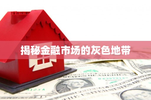 璧山揭秘金融市场的灰色地带