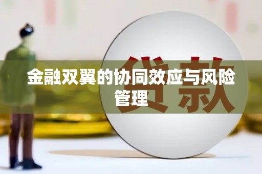 璧山金融双翼的协同效应与风险管理
