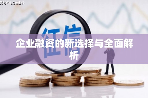 璧山企业融资的新选择与全面解析
