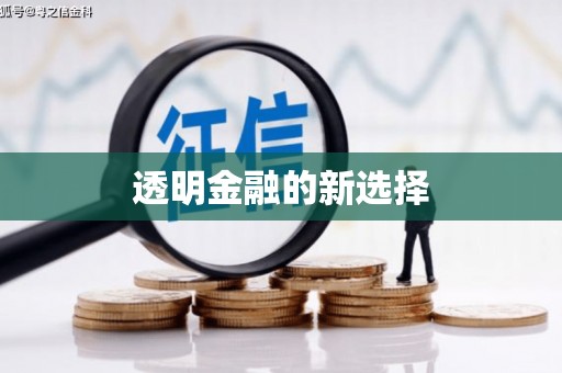 璧山透明金融的新选择