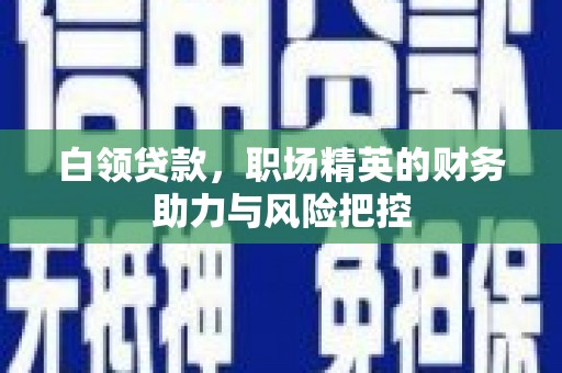 璧山白领贷款，职场精英的财务助力与风险把控