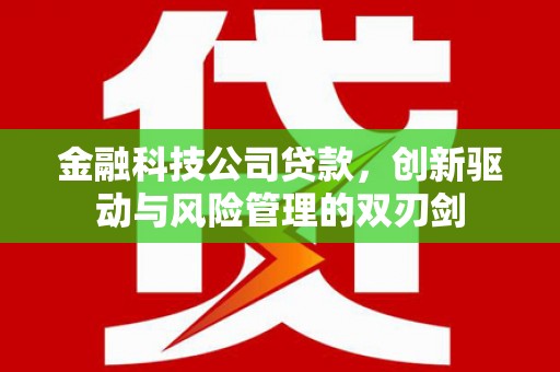 璧山金融科技公司贷款，创新驱动与风险管理的双刃剑