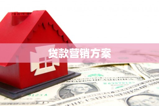 璧山贷款营销方案